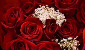 A bouquet of red roses with baby's breath.