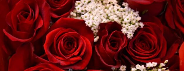 A bouquet of red roses with baby's breath.