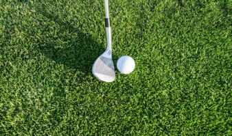 A golf club and ball on manicured grass