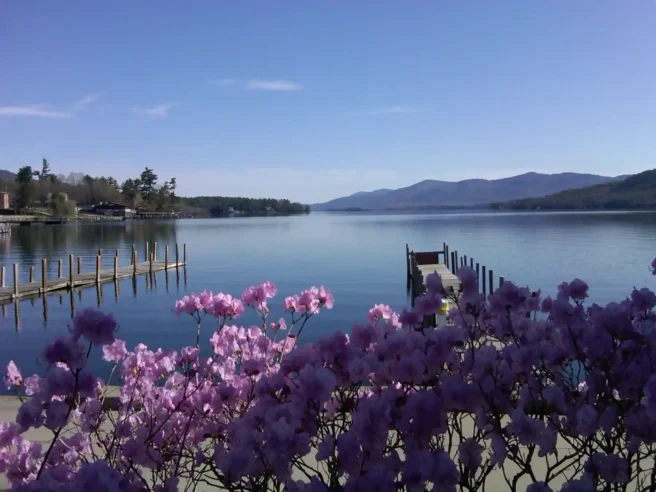 A calm Lake George with two wooden docks, mountains in the distance, and pink flowers in the foreground under a clear blue sky—perfect for peaceful Lake George experiences.